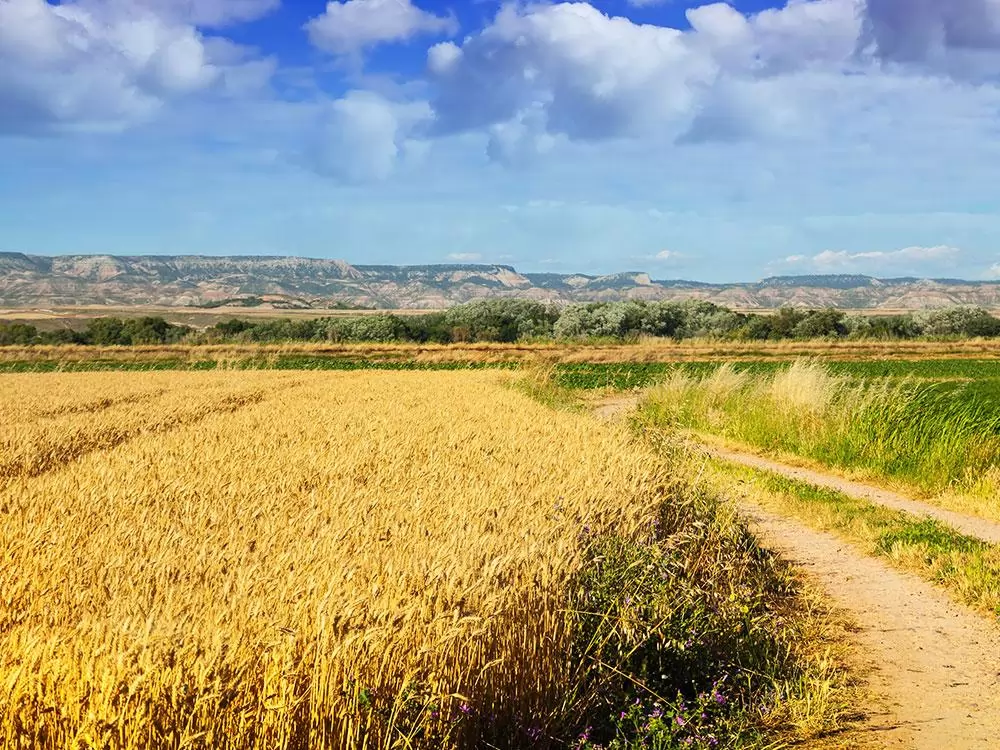 Barçın Yaylası: Karaman’ın Zirvelerinde Bir Yörük Mirası